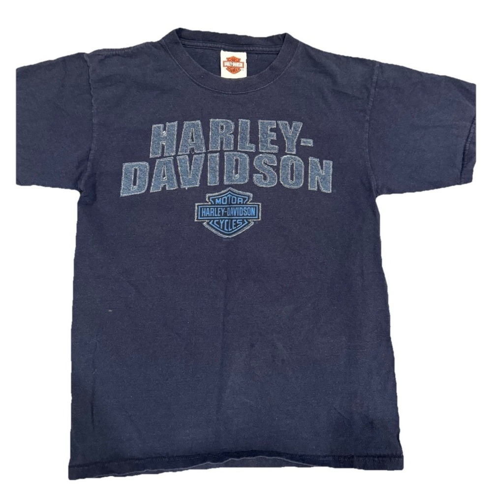 VTG Y2K Harley Davidson Spell Out Logo T-Shirt M Blue Grunge Biker '06 USA